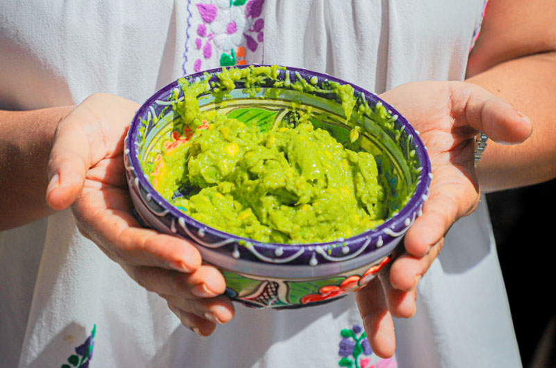 Basic Avocado Face Mask to regenerate skin