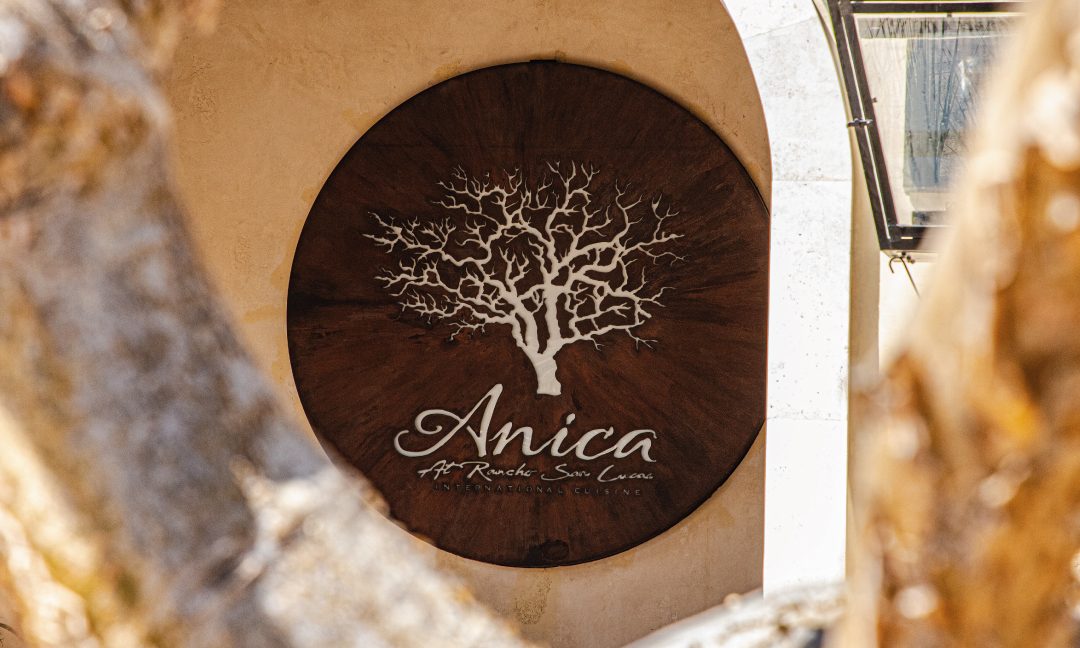 Anica Restaurant: a feast of traditions and flavors