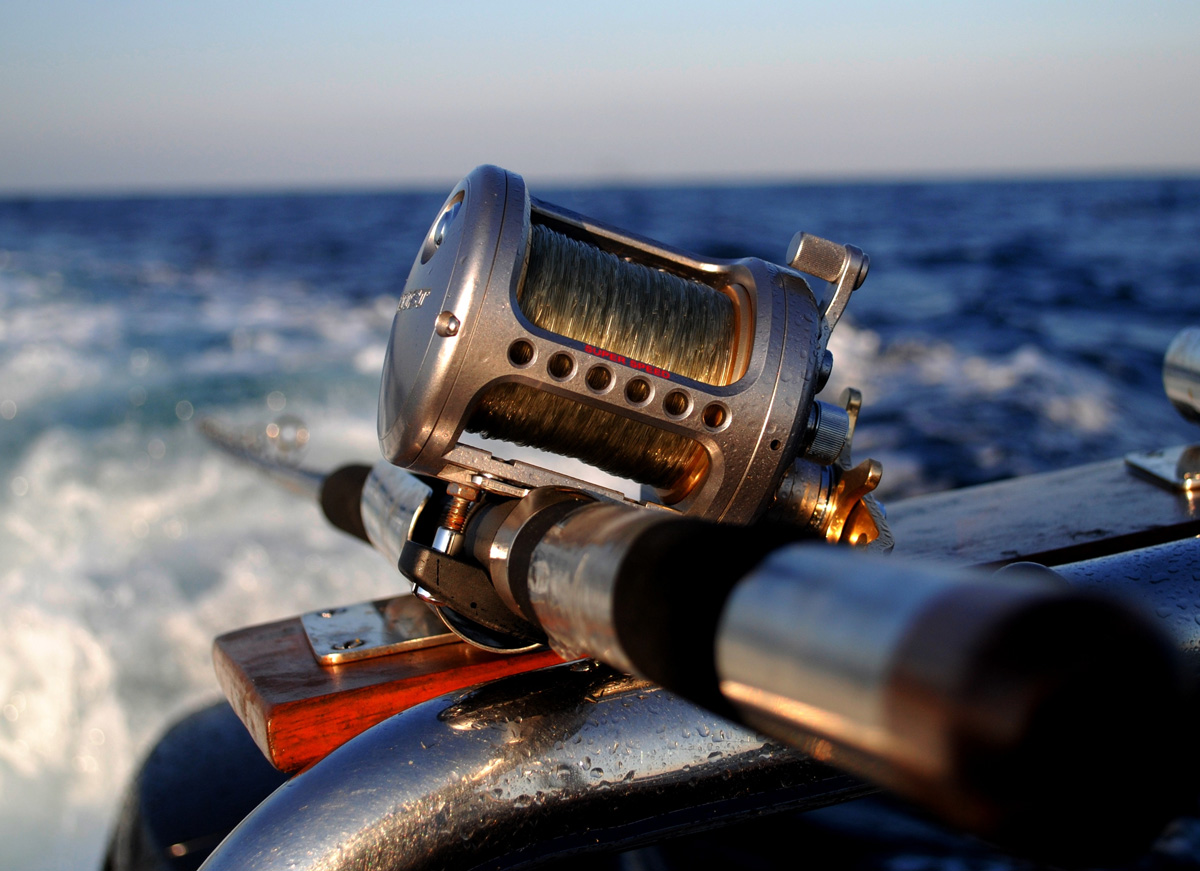 The Sportfishing Season is here. Are you in? - Blog Solmar
